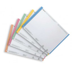 Elba Bristol Foglio 10...